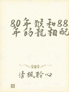 80年猴和88年的龙相配吗封面