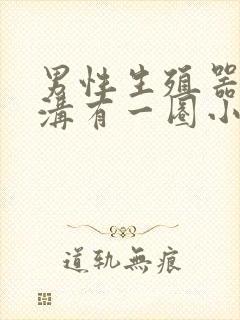 男性生殖器冠状沟有一圈小疙瘩