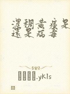 浓稠黄痰是细菌还是病毒