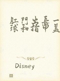 肛门出长一个肉球和指甲盖一样大