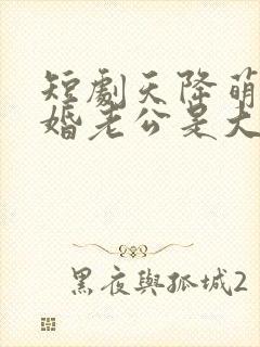 短剧天降萌宝闪婚老公是大佬封面