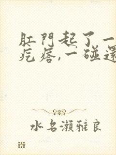 肛门起了一个硬疙瘩,一碰还疼