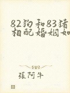 82狗和83猪相配婚姻如何