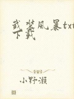 武装风暴txt下载