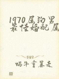 1970属狗男最佳婚配属相