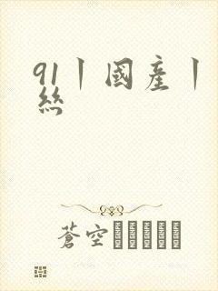 91丨国产丨白丝