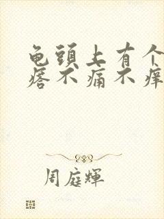 龟头上有个红疙瘩不痛不痒怎么回事