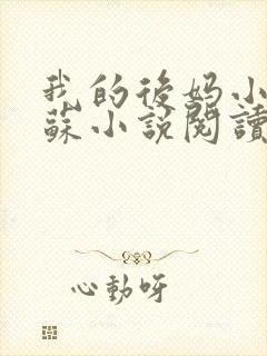 我的后妈小姨苏苏小说阅读