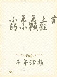 小弟弟上有白色的小颗粒封面