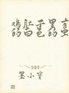 鸡肚子里有长长的白色的虫