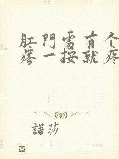 肛门处有个硬疙瘩一按就疼