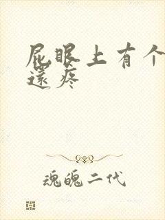 屁眼上有个肉球还疼