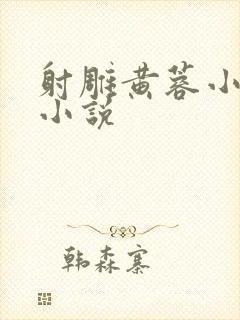 射雕黄蓉小龙女小说