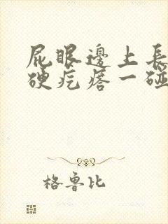 屁眼边上长了个硬疙瘩一碰会疼封面