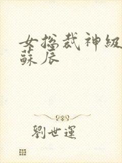 女总裁神级保镖苏辰封面