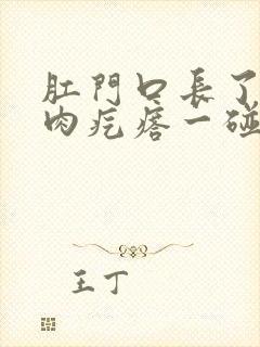 肛门口长了一个肉疙瘩一碰就疼封面