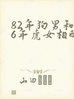 82年狗男和86年虎女相配婚姻如何
