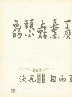 龟头上长了红色的小点怎么回事