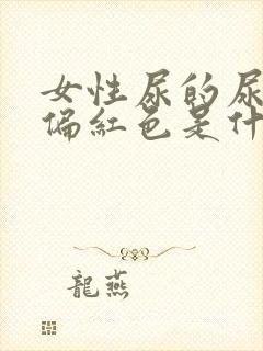 女性尿的尿有点偏红色是什么原因