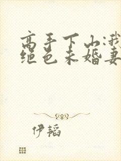 高手下山:我的绝色未婚妻免费txt下载封面