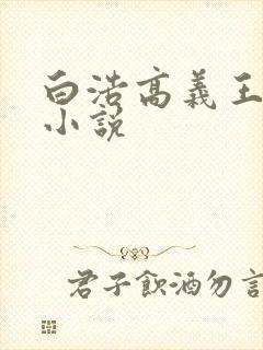 白浩高义王局长小说