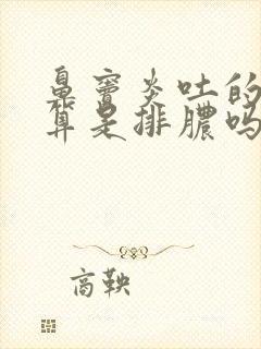 鼻窦炎吐的黄痰算是排脓吗