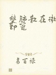 双肺散在微小结节灶