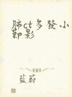 肺ct多发小结节影