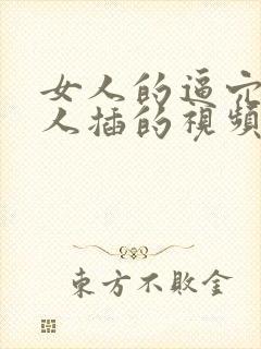 女人的逼穴被男人插的视频