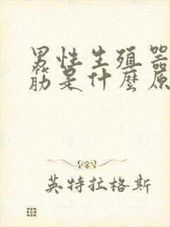 男性生殖器有硬筋是什么原因