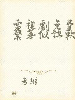 电视剧免费观看繁华似锦软件