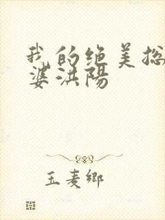 我的绝美总裁老婆洪阳