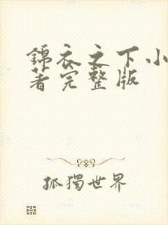 锦衣之下小说原著完整版封面