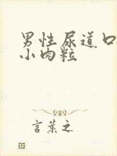 男性尿道口边有小肉粒