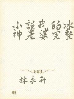 小说我的冰山女神老婆完整版