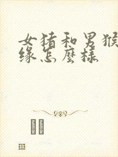 女猪和男猴的姻缘怎么样