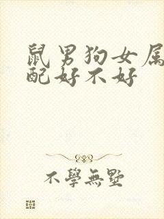 鼠男狗女属相婚配好不好