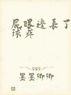 屁眼边长了个肉球疼封面