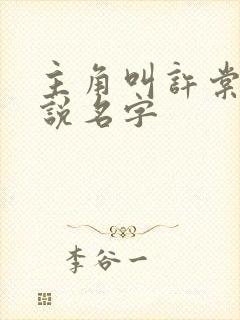 主角叫许棠的小说名字