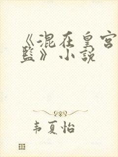 《混在皇宫假太监》小说