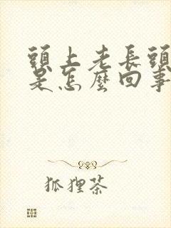 头上老长头皮屑是怎么回事封面