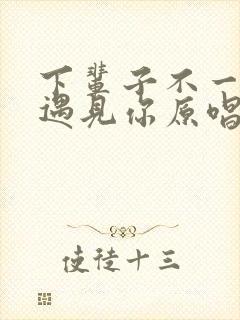 下辈子不一定能遇见你原唱完整版歌词封面