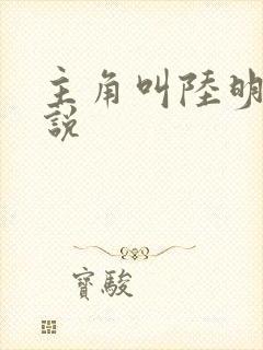 主角叫陆明的小说封面