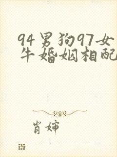 94男狗97女牛婚姻相配好吗