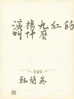 演杨九红的演员叫什么