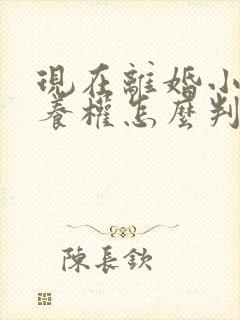 现在离婚小孩抚养权怎么判