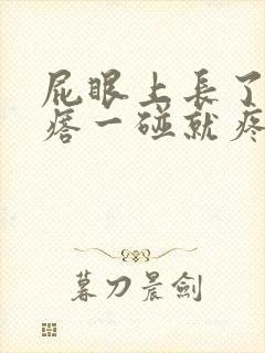 屁眼上长了个疙瘩一碰就疼