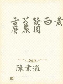 舌苔发白黄是什么原因