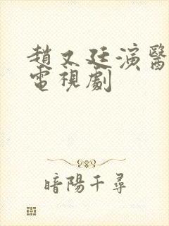 赵又廷演医生的电视剧