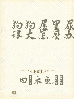 狗狗屋里尿骚味很大怎么办